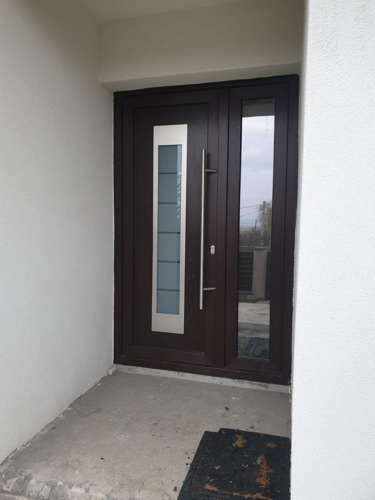 Uși de intrare moderne din termopan